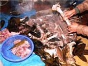 Bóng đá anh, ngoại hạng anh, lịch thi đấu euro 2012, Nổi lửa nấu cao hổ giữa lòng Hà Nội
